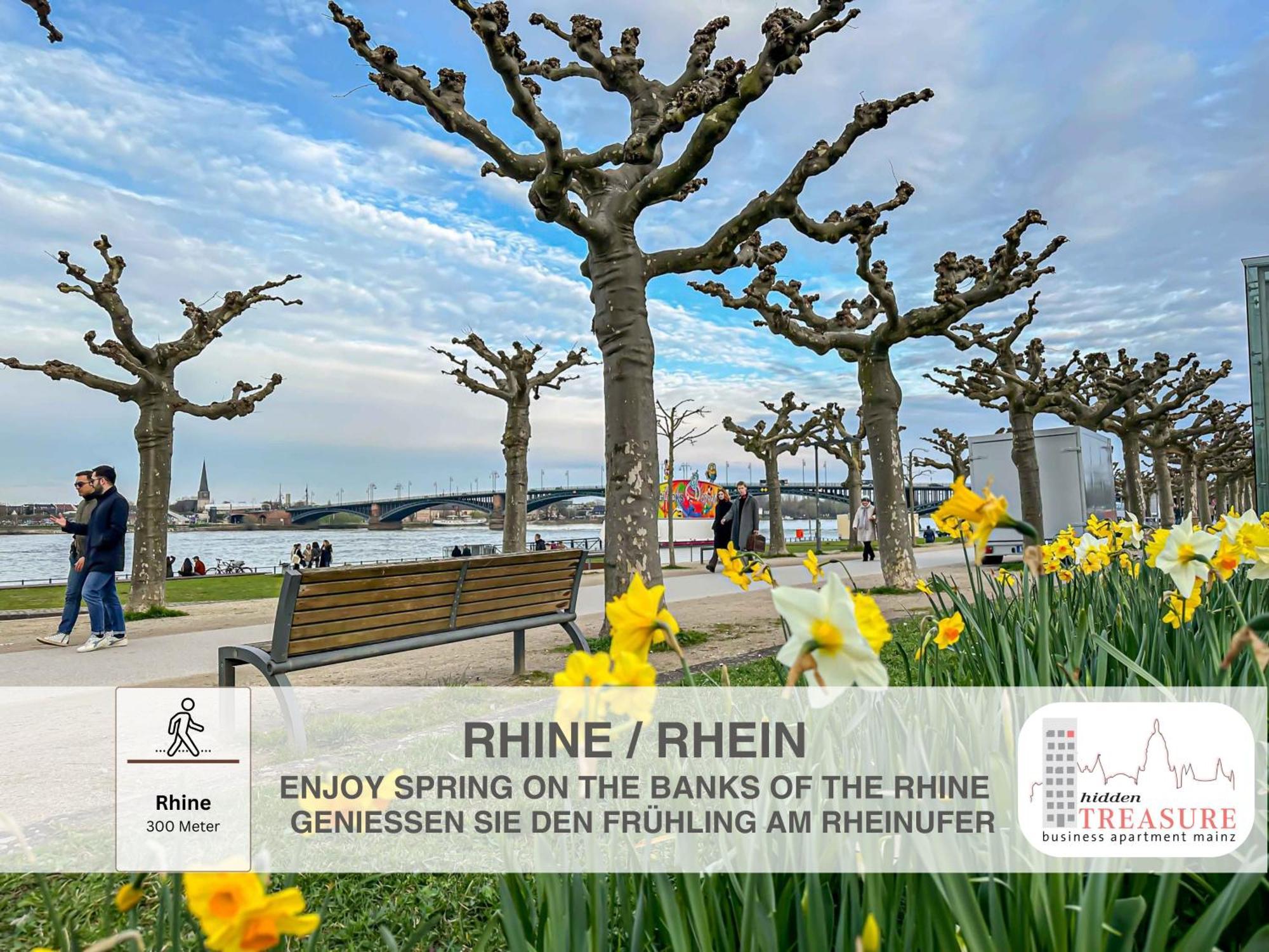 Hidden Treasure Business Apartment Mainz - Fantastic Rhine View In Center Of Mainz Old Town Exteriér fotografie