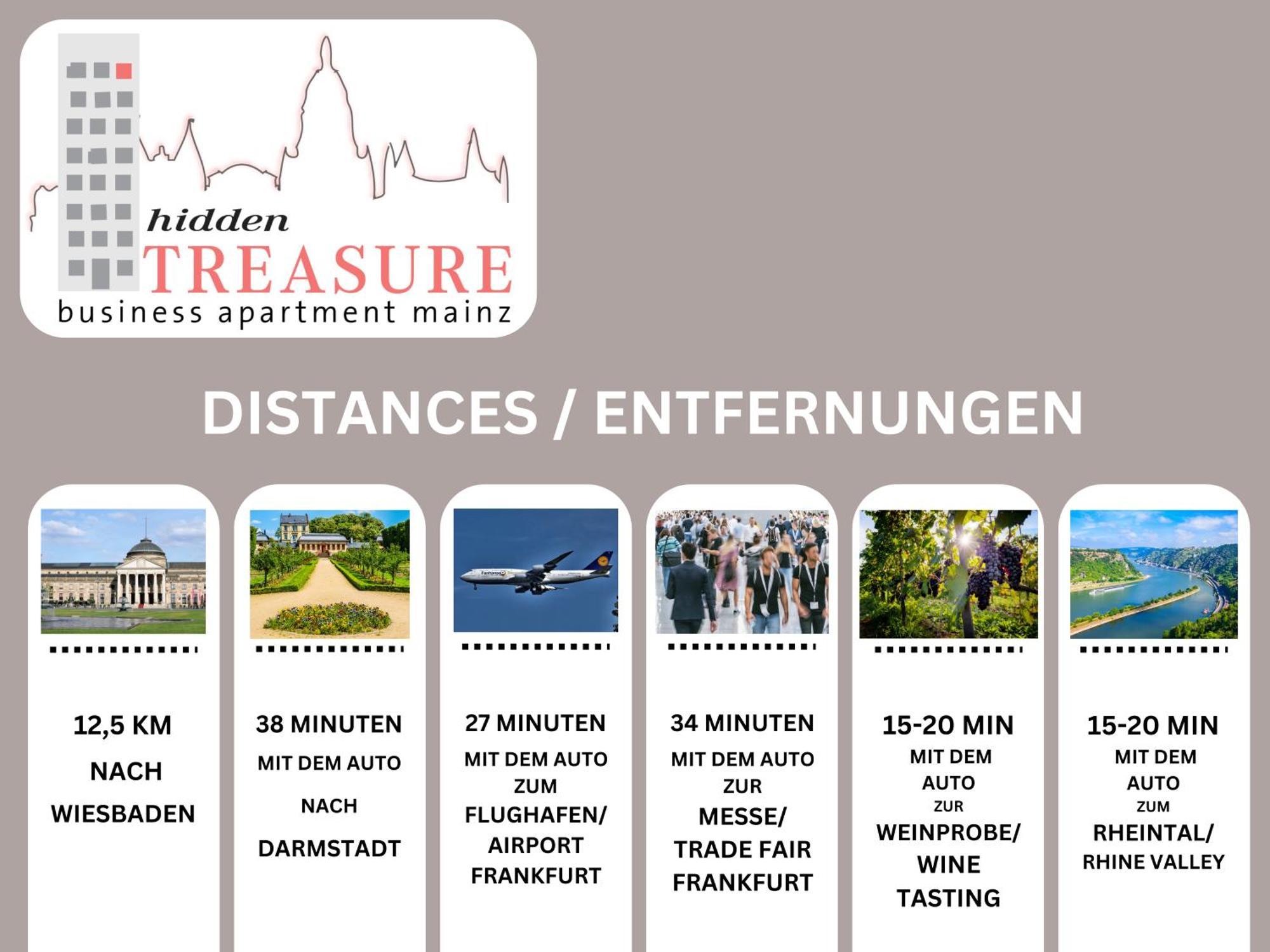 Hidden Treasure Business Apartment Mainz - Fantastic Rhine View In Center Of Mainz Old Town Exteriér fotografie